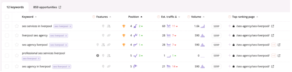 Example of keyword rankings for local keywords