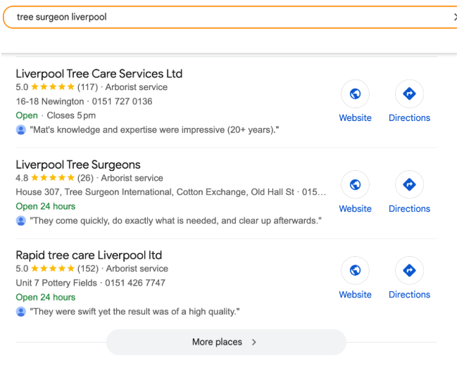 Example SERP result showing a Google Business profile in the MAP pack